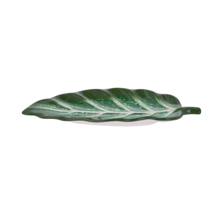 Antipastiera foglia ficus terracotta - Florafruit