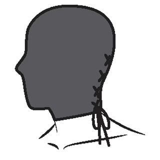 STEAMY SHADES Encaje Color oscuro: negro