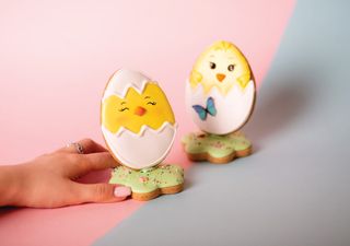 Biscuit Puișor pe suport