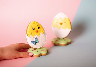 Biscuit Puișor pe suport