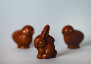 Ciocolată ”Iepuraș mic”