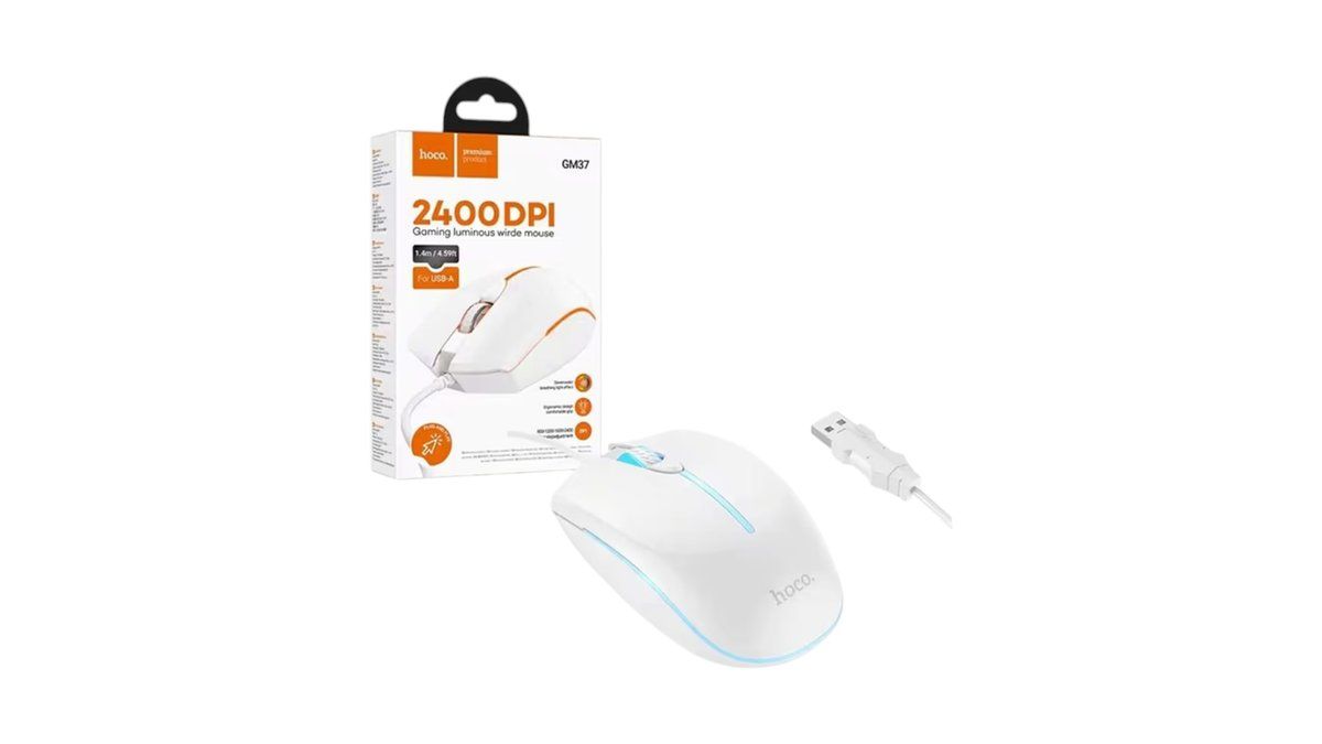 Computer Accessories