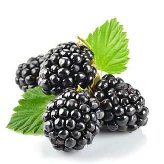 Mûre 250g