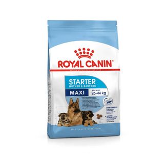 Royal Canin Starter Maxi