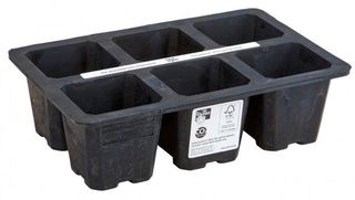 Яйца размер XL (6бр)