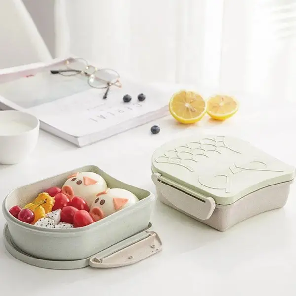 Lunch Box & Gourdes.