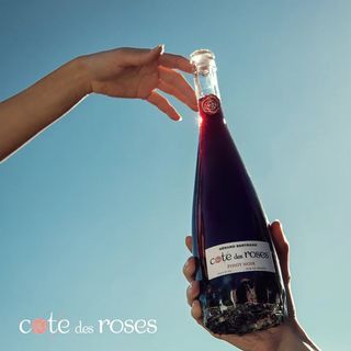 Gerard Bertrand Cote des Roses Pinot Noir (750мл)