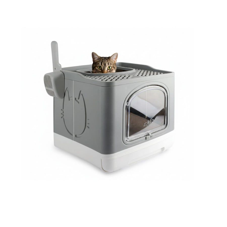 Higiene e Limpeza Gato