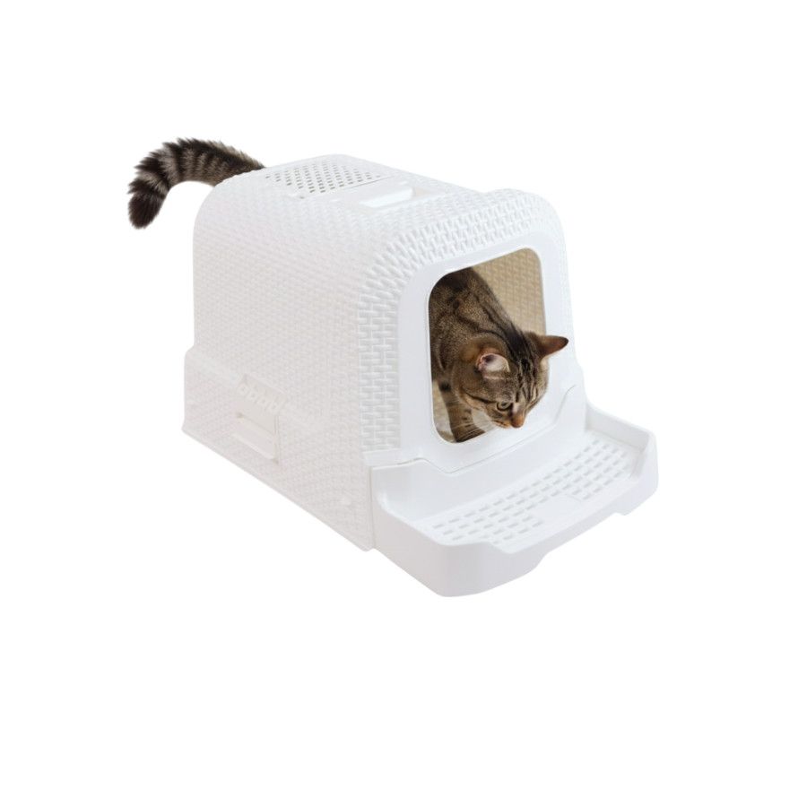 Higiene e Limpeza Gato