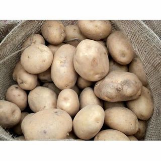 Ziemniak „soraya” - 0,25kg