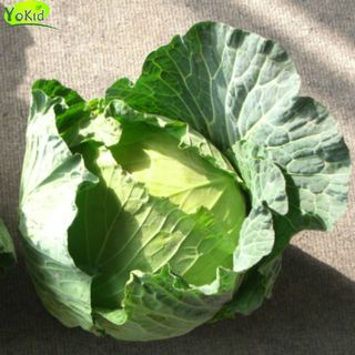 Капуста молода, 100г