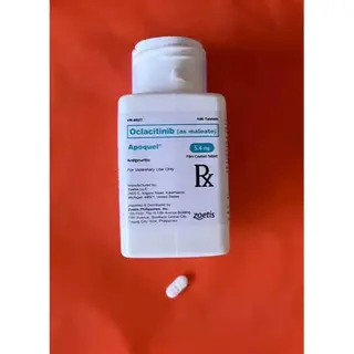 აპოქველი - Apoquel 5.4mg (Price For One Tablet)