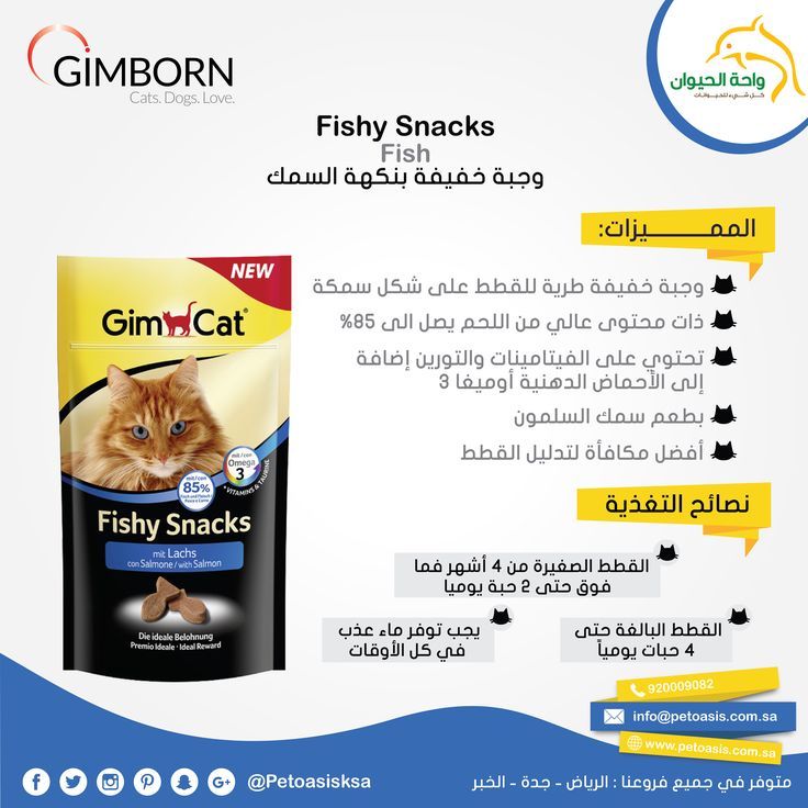 Ласощі для котів: