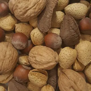 Горіховий Мікс В Оболонці (100г)