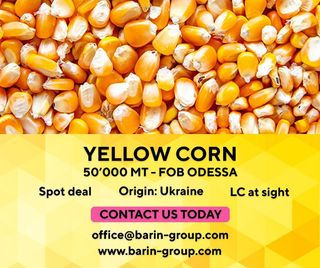 Кукурудза (60г)