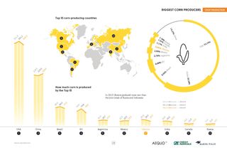 Кукурудза Вагова (1п.)
