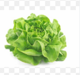 Salata puterka