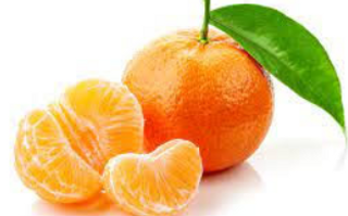 Mandarina uvoz