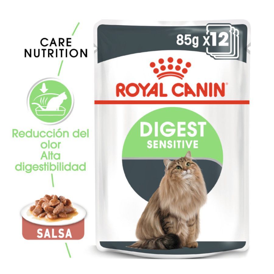 Dietas Veterinárias Gato