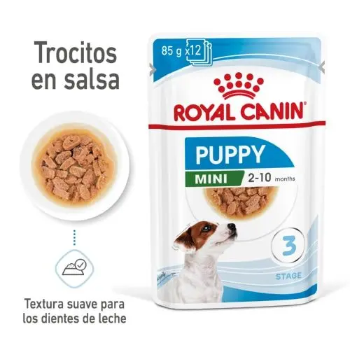 Alimentação Húmida Cão