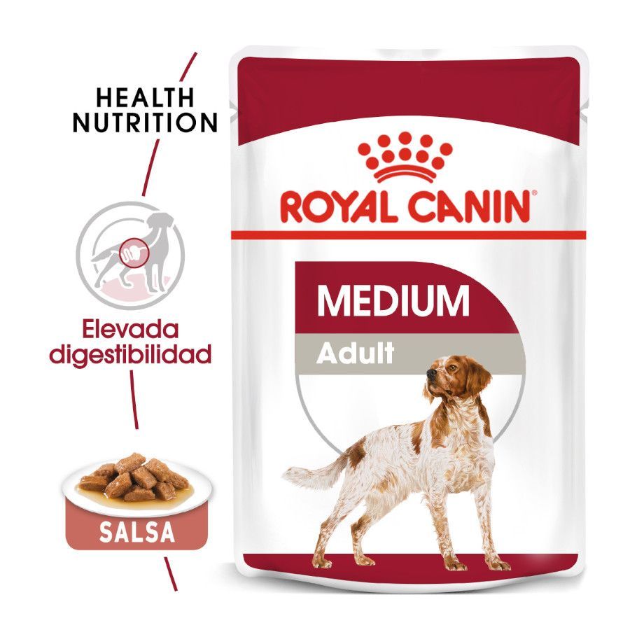 Alimentação Húmida Cão
