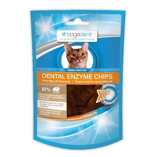 Snacks e Recompensas Gato
