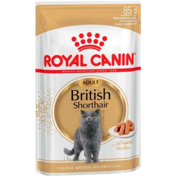 Royal Canin Gato