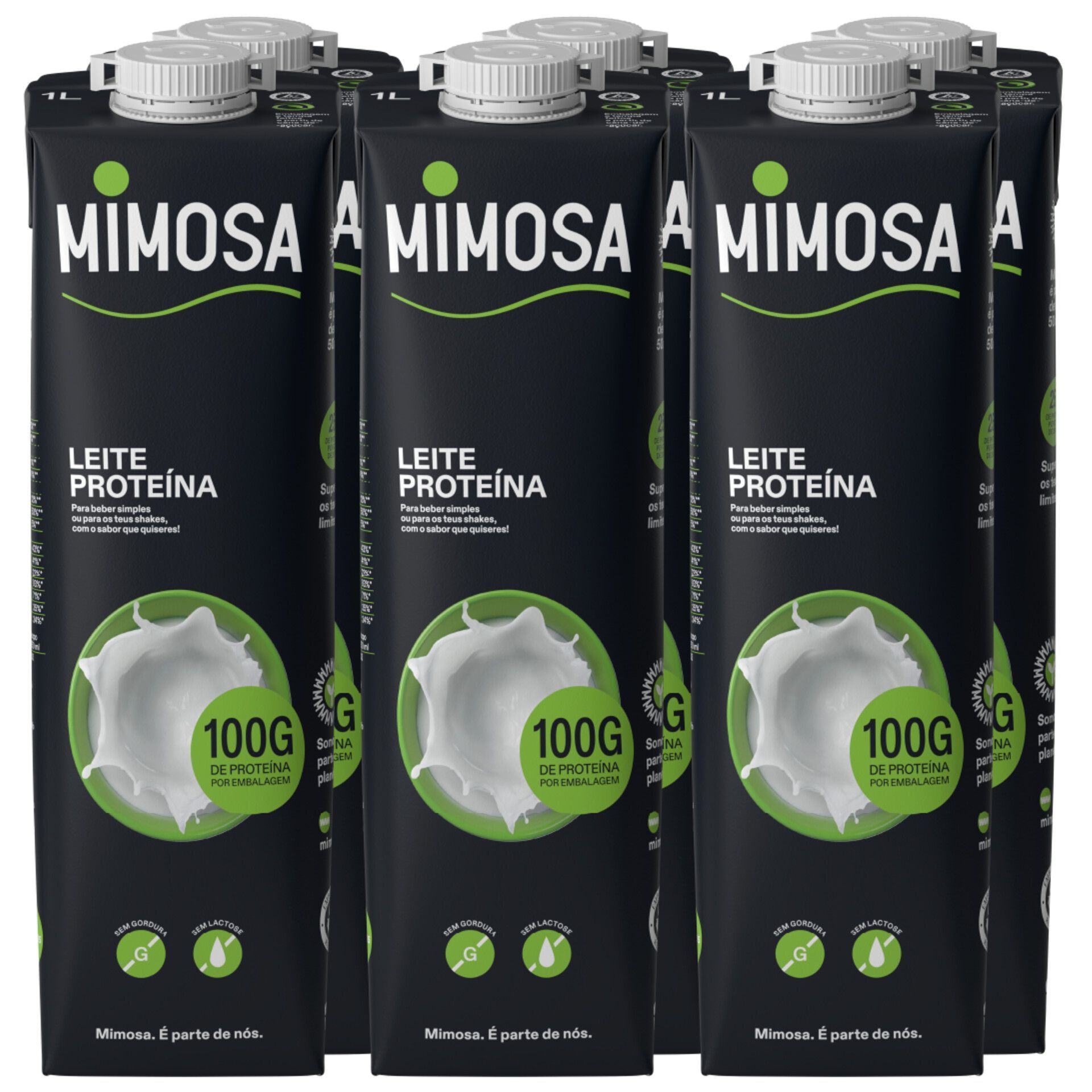 Fitness, Proteína & Laticínios