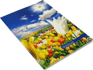 Книга-канц. А4 96арк. кліт. м'яка обкл. газ. №459449/Тетрада/(10)