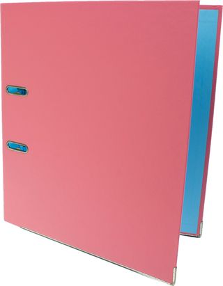 Папка-реєстратор А4 "Economix" 5см №E39720-89 (паст.рожева) зібраний(10)
