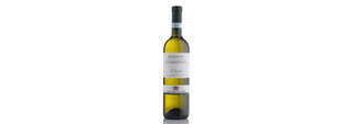 Cantina Povero Piemonte Chardonnay