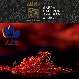 AZAFRÁN D.O. caja 50g