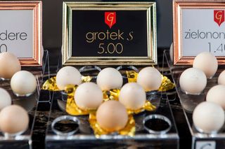 Grotek S ® 12 Szt