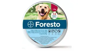Foresto- Obroża Przeciw Ektopasożytom Powyżej 8kg