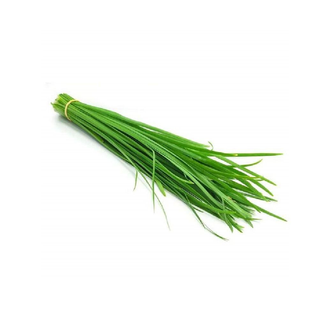 Szczypior - 1szt