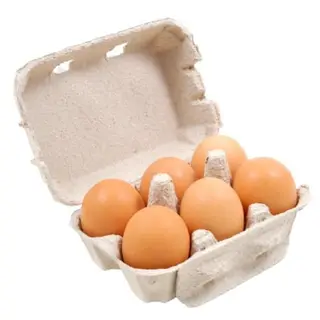 Jajka Ściółkowe 10 Szt.