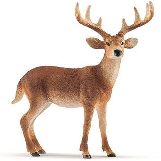 Figura Ciervo con Cola Blanca Macho-14818