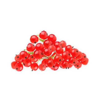 Porzeczki Czerwone 125 G