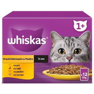 Whiskas, Hrana umeda petnru pisici, cu pasare in sos 12x85g