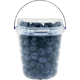 Fruteria Arandano Sweet Bote 500 Gr