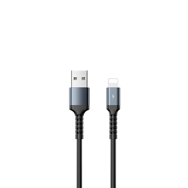Apple iPhone