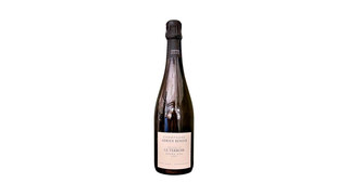Adrien Renoir Le Terroir
