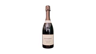 Egly-Ouriet Les Vignes de Vrigny 1er Cru Brut