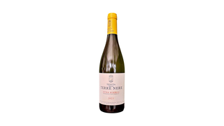 Terre Nere Etna Bianco