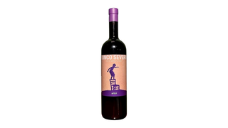 Ronco Severo Merlot Artiùl riserva 2019