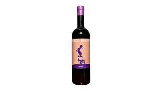 Ronco Severo Merlot Artiùl riserva 2019