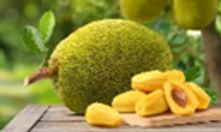 Jack fruit medium puff en
