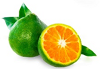 Small Pack Tangerines