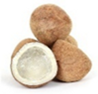 Coconust 1 Dice En