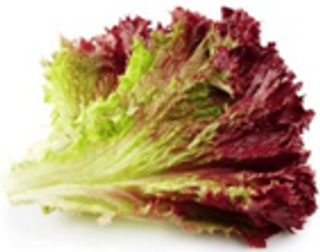 Red Lettuce Leaves, 1 Piece